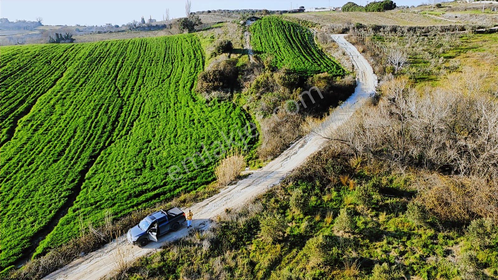 Kuşadası Yayla'da Resmi Yol Cepheli 17 Dönüm Zeytinlik - Görsel 21