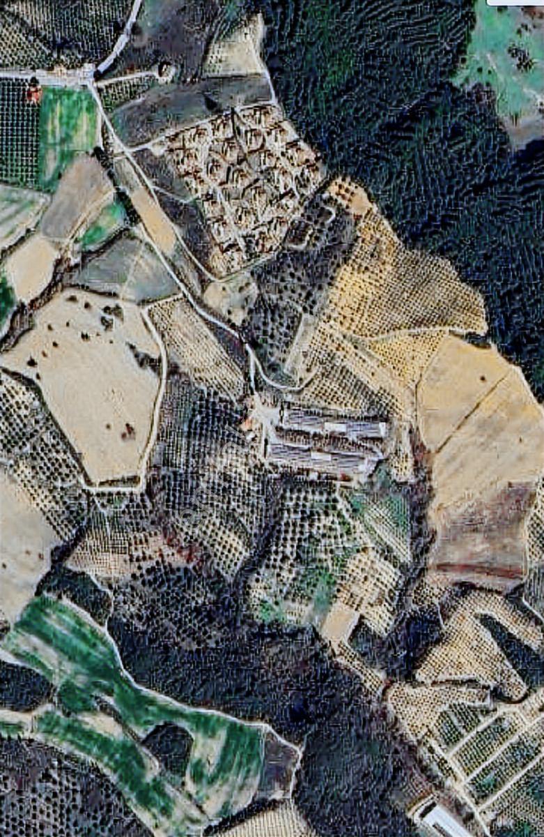 Kuşadası Yayla'da Resmi Yol Cepheli 17 Dönüm Zeytinlik - Görsel 22