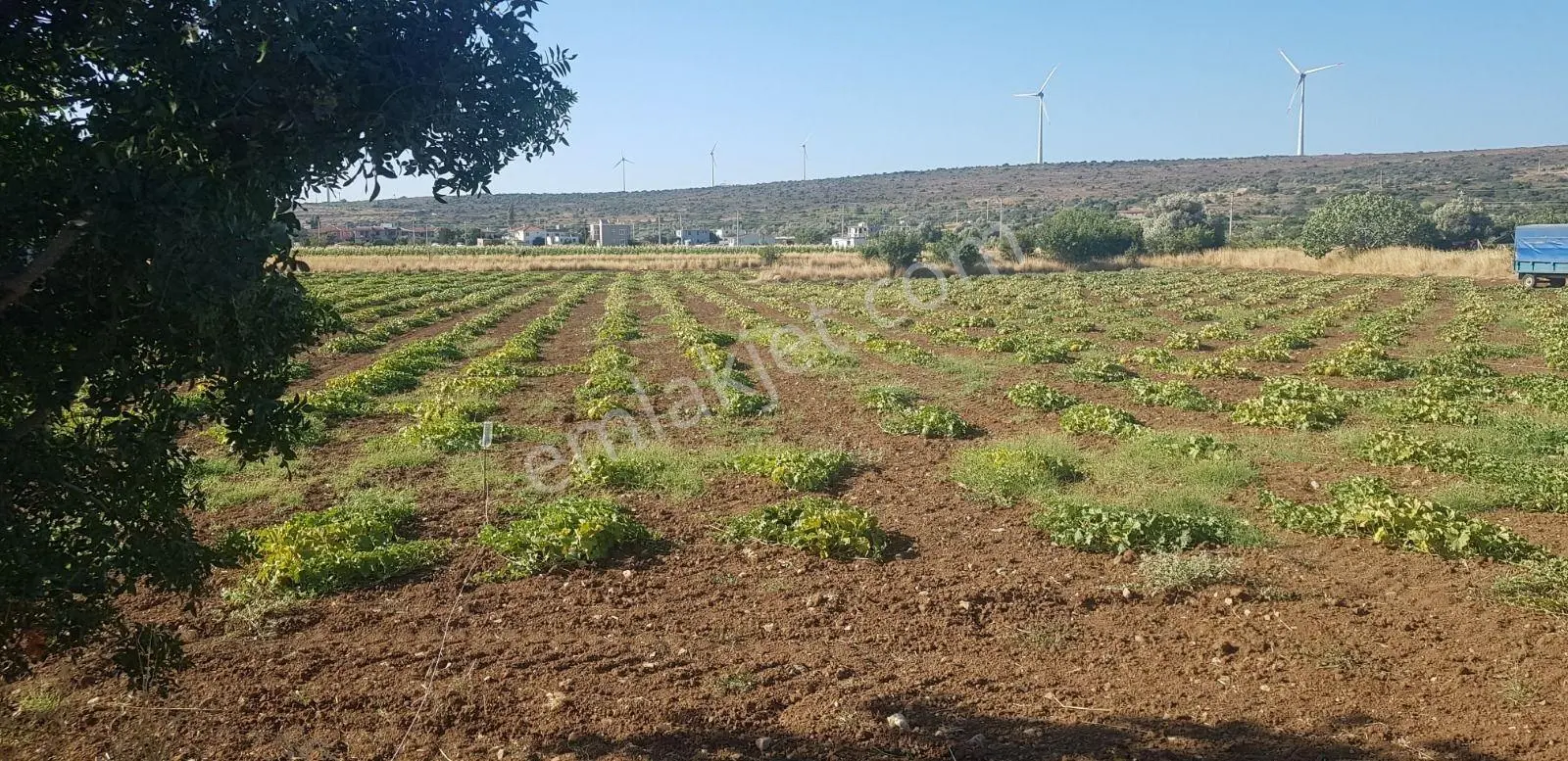 İzmir Çeşme Germiyan'da Denize Yakın 1090 M2 Arazi - Görsel 4