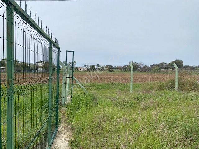 İzmir Çeşme Germiyan'da Denize Yakın 1090 M2 Arazi - Görsel 6