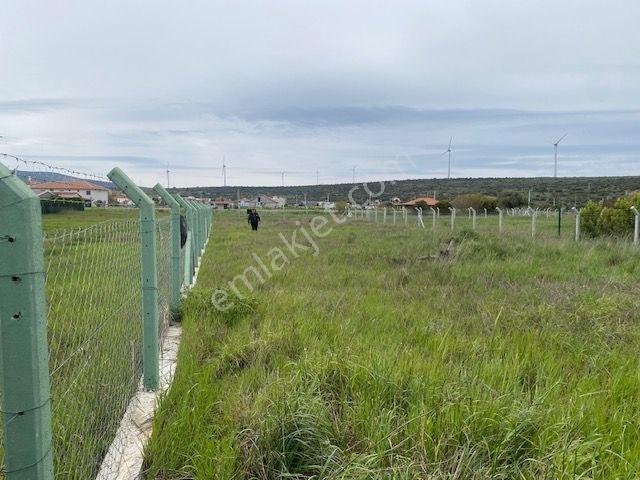 İzmir Çeşme Germiyan'da Denize Yakın 1090 M2 Arazi - Görsel 7