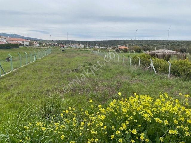 İzmir Çeşme Germiyan'da Denize Yakın 1090 M2 Arazi - Görsel 11