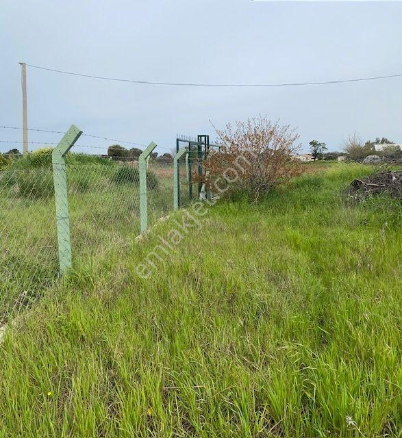 İzmir Çeşme Germiyan'da Denize Yakın 1090 M2 Arazi - Görsel 3