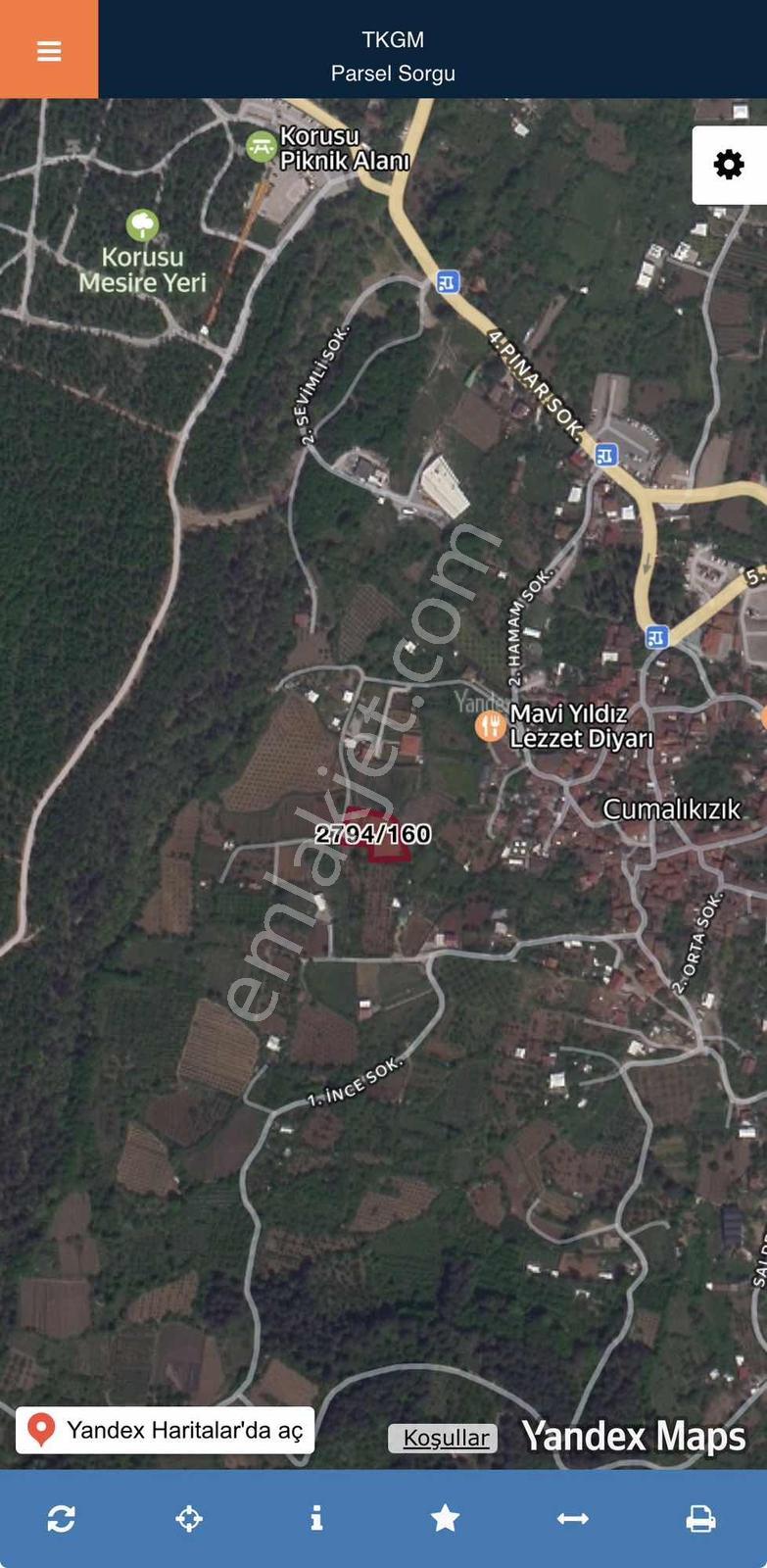 Cumalıkızıkta Kaçmaz Yatırımlık! 1.873 M² Doğa İçinde Bahçe - Görsel 2