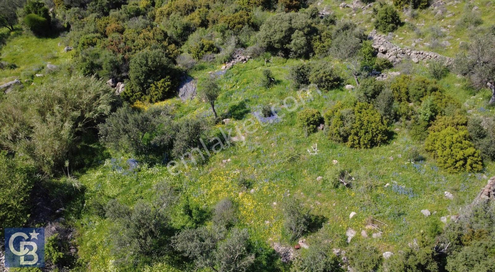 Aliağa Çıtak Köyünde 5896 M2 Satılık Yatırımlık Tarla - Görsel 7