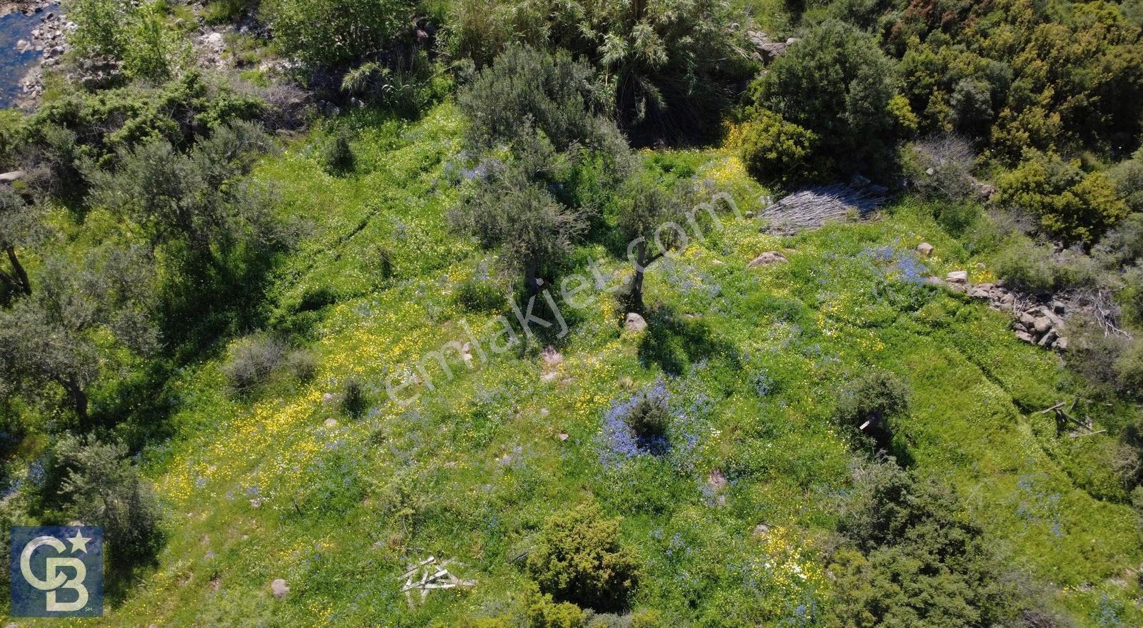 Aliağa Çıtak Köyünde 5896 M2 Satılık Yatırımlık Tarla - Görsel 9