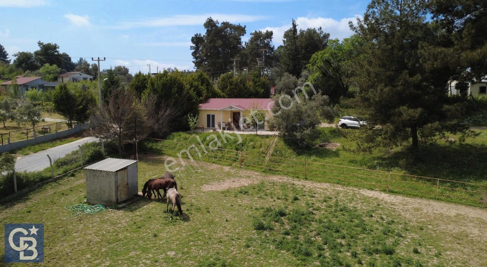 Buca Karacaağaç Çaylıbağ Mevkinde Satılık Çiftlik Arazisi