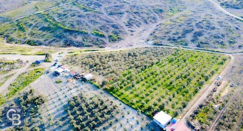 Aliağa Bozköy'de Satılık 4,397 M2 Tarla - Görsel 3