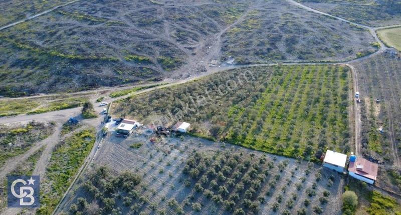 Aliağa Bozköy'de Satılık 4,397 M2 Tarla - Görsel 9