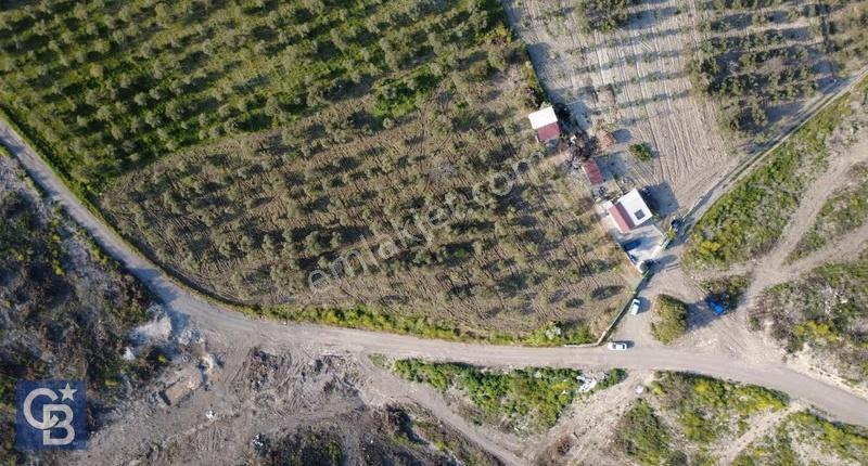 Aliağa Bozköy'de Satılık 4,397 M2 Tarla - Görsel 14