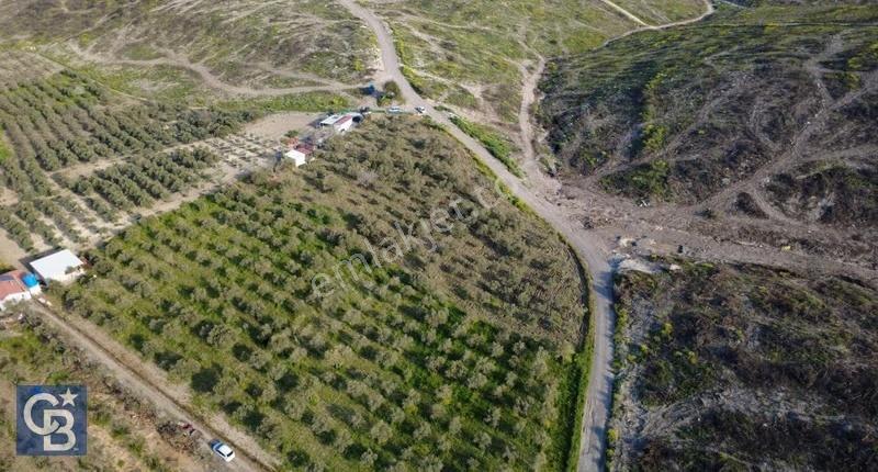 Aliağa Bozköy'de Satılık 4,397 M2 Tarla - Görsel 11