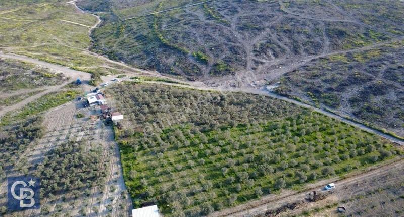 Aliağa Bozköy'de Satılık 4,397 M2 Tarla - Görsel 13