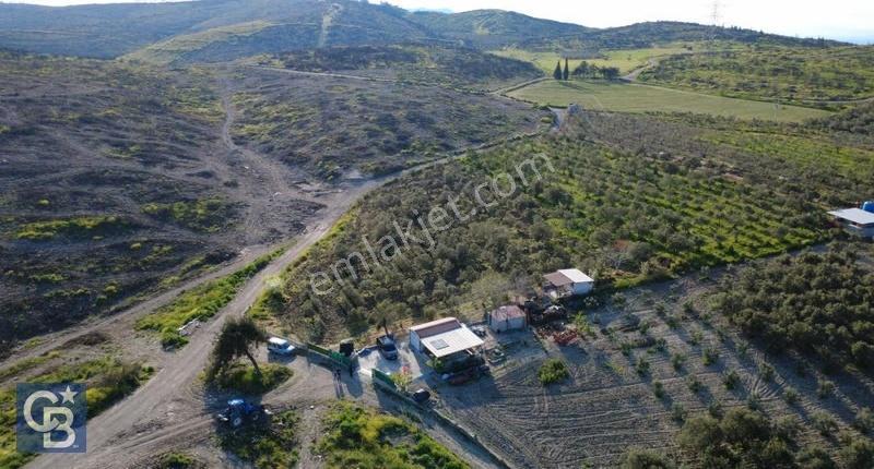 Aliağa Bozköy'de Satılık 4,397 M2 Tarla - Görsel 2