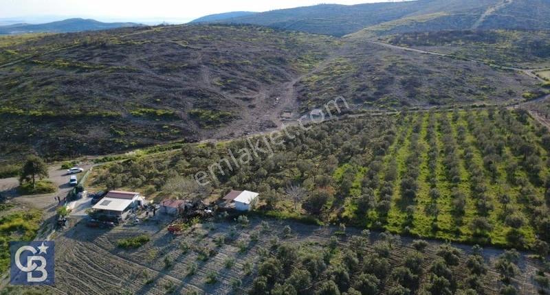 Aliağa Bozköy'de Satılık 4,397 M2 Tarla - Görsel 12
