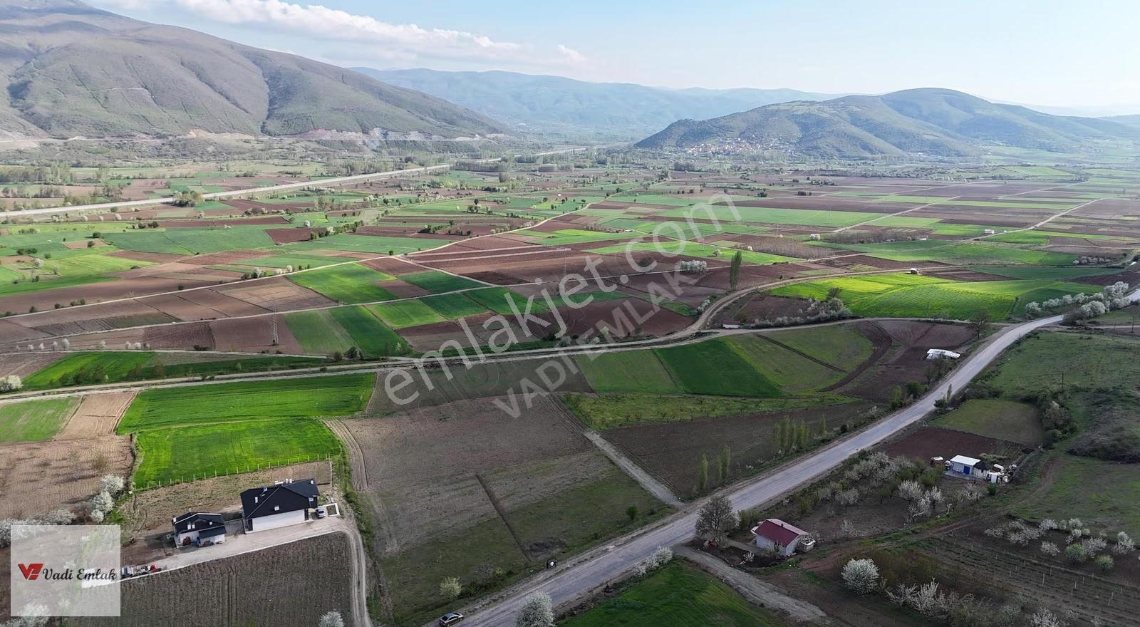 Yazıbaşı Köyünde Ana Yola Cephe 2.100m² Satılık Tarla Vadi Emlak - Görsel 3