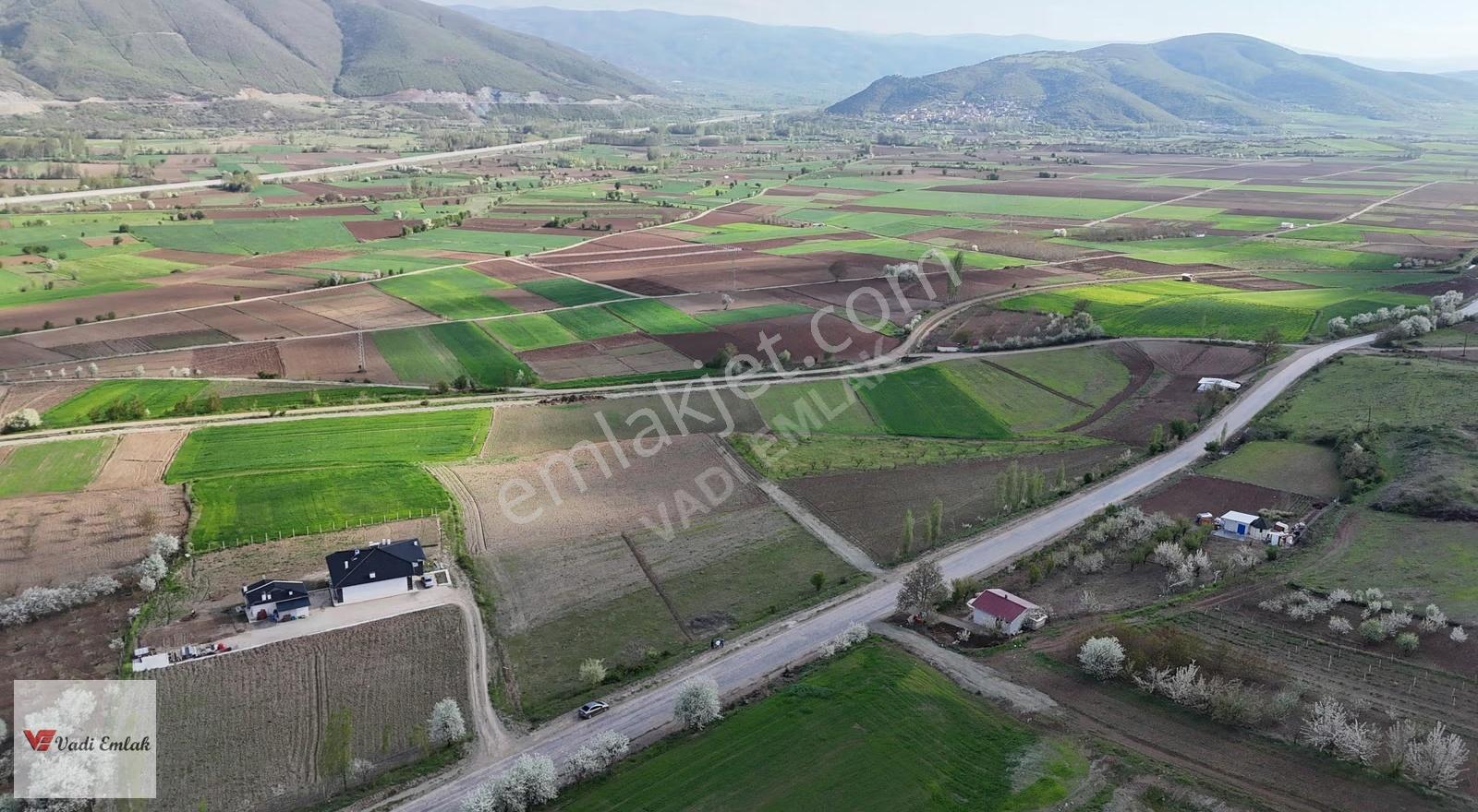 Yazıbaşı Köyünde Ana Yola Cephe 2.100m² Satılık Tarla Vadi Emlak - Görsel 4
