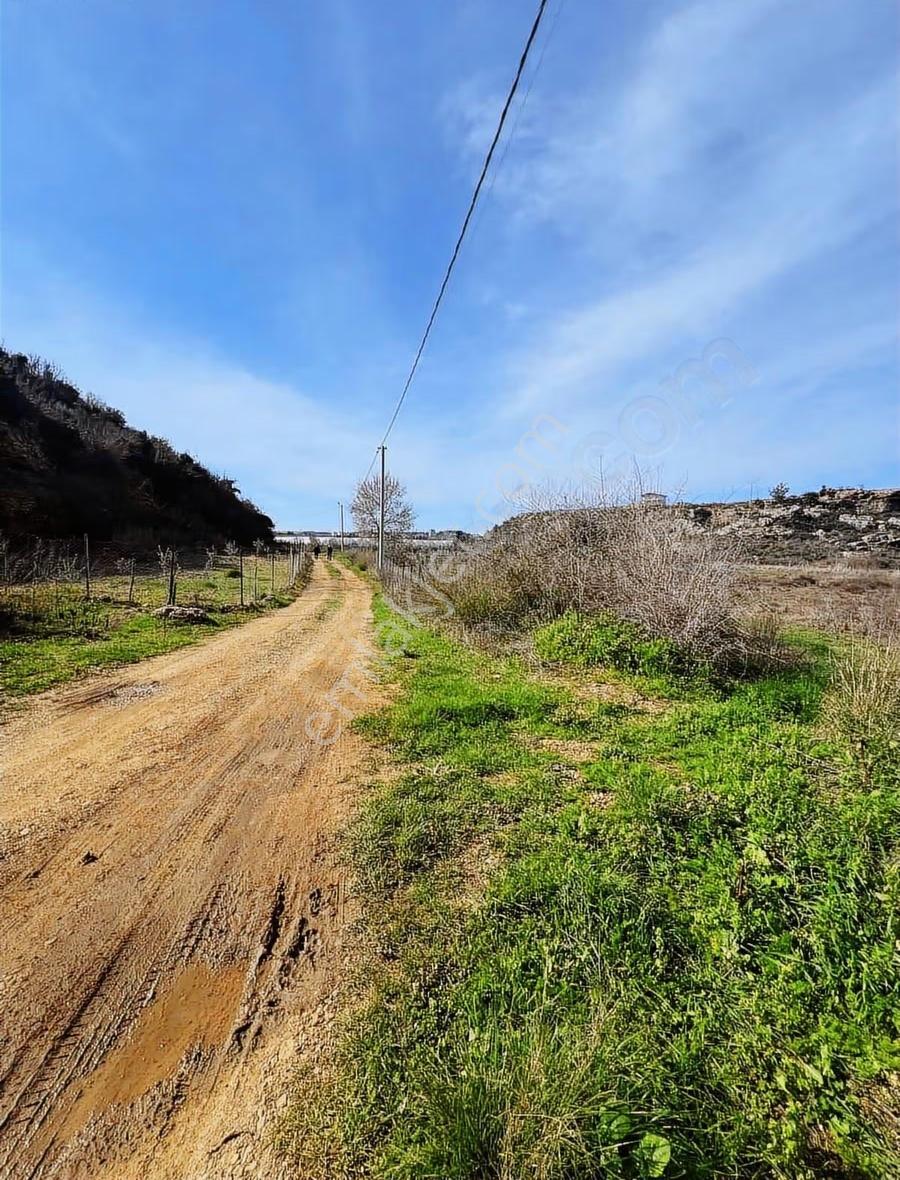 Dikmen Mahallesi'nde 3820 Metre Tek Tapu Tarla Satılıktır - Görsel 3