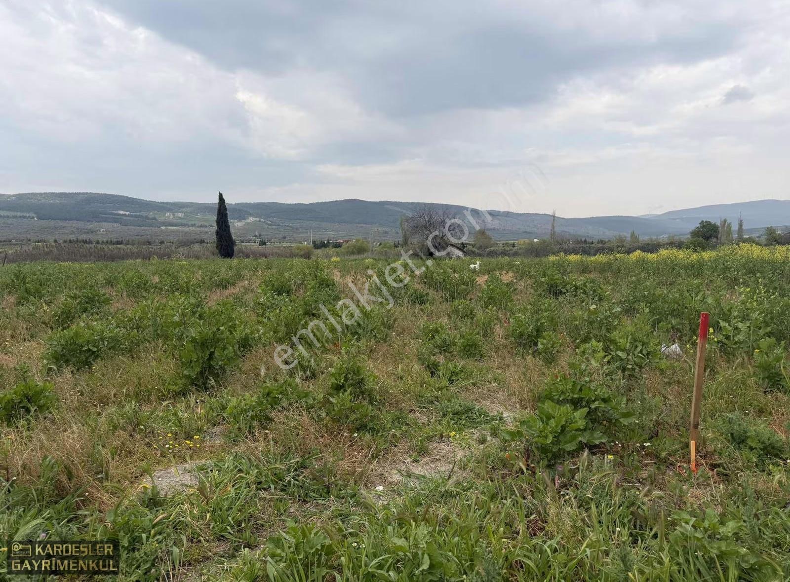 Manisa / Gelenbede Satılık İmarlı Arsa Yatırımlık Fırsat! - Görsel 14