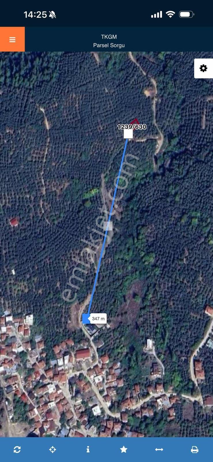 İznik Mustafalıda 307 M² Tek Tapu Zeytinlik Hobi Bahçesi - Görsel 3