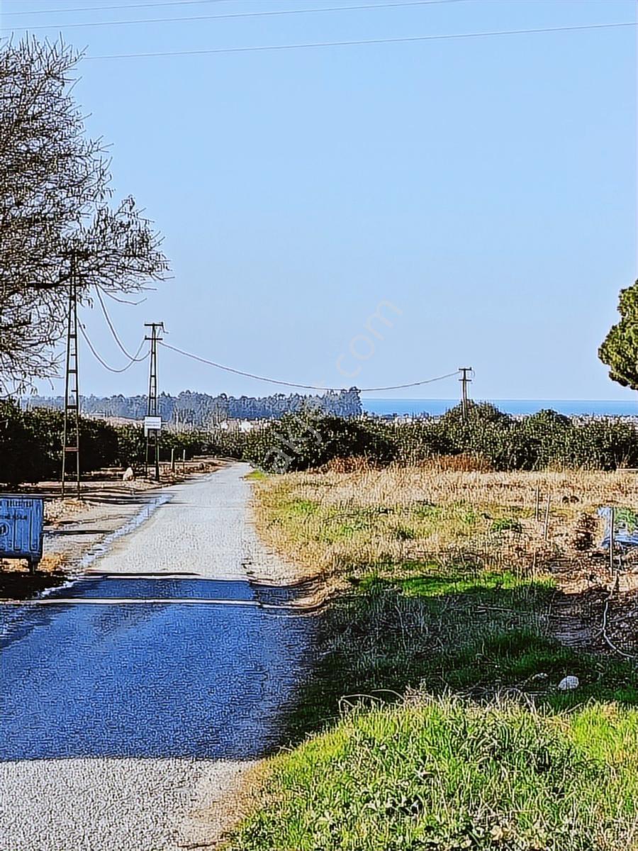Kuşadası Davutlarda Denız Manzaralı 750 M2 Arsa