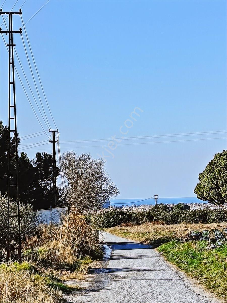 Kuşadası Davutlarda Denız Manzaralı 750 M2 Arsa - Görsel 6