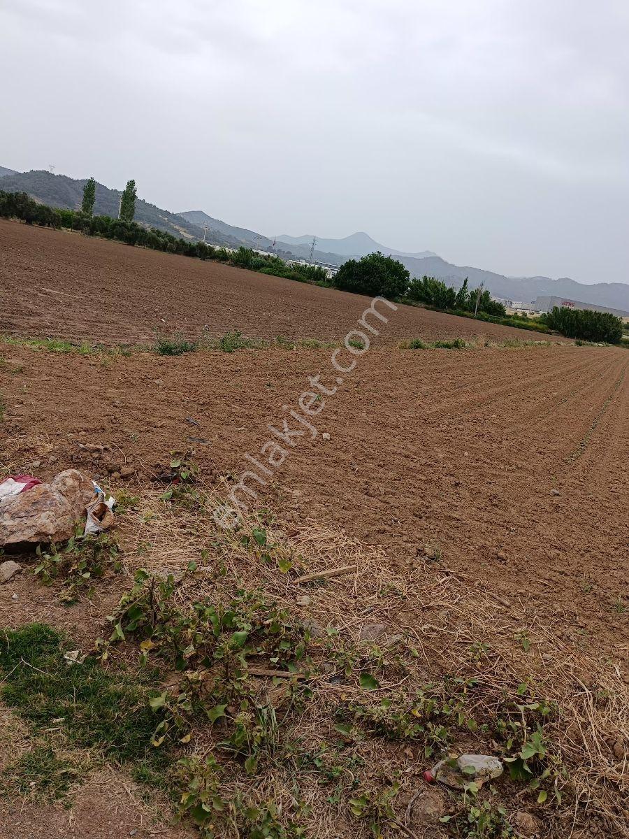 İzmir Bergama Organize Bölgesinde Yol Cepheli 10 Dönüm Arazi - Görsel 6