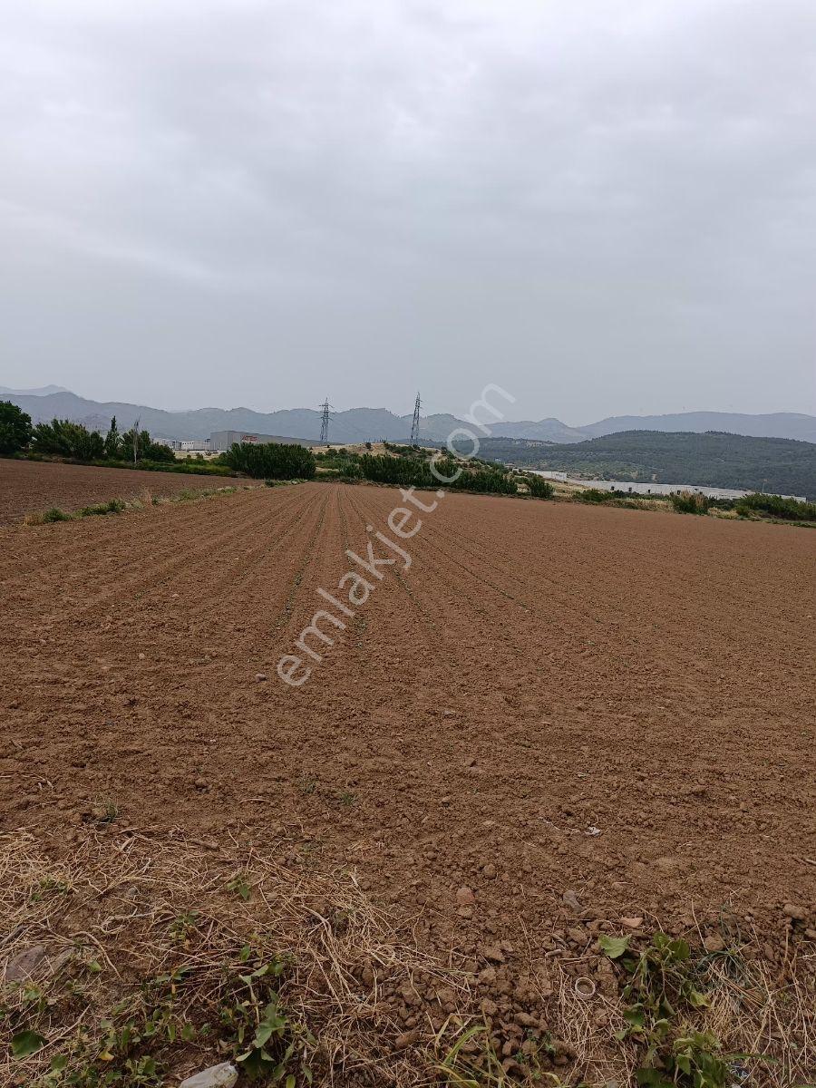 İzmir Bergama Organize Bölgesinde Yol Cepheli 10 Dönüm Arazi - Görsel 2