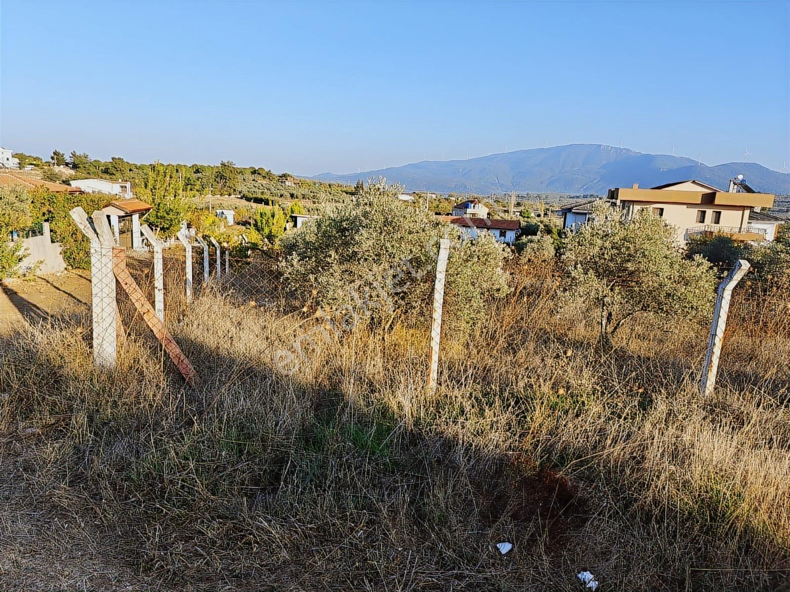 Kuşadası Yeniköy De Köşe Konumlu Arsa - Görsel 8