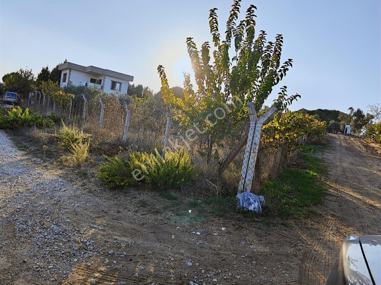 Kuşadası Yeniköy De Köşe Konumlu Arsa - Görsel 9