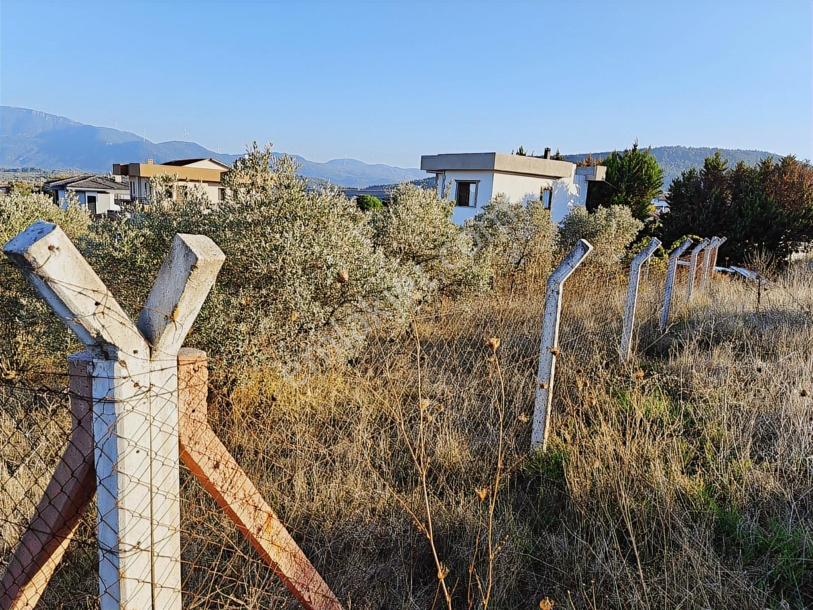 Kuşadası Yeniköy De Köşe Konumlu Arsa - Görsel 5
