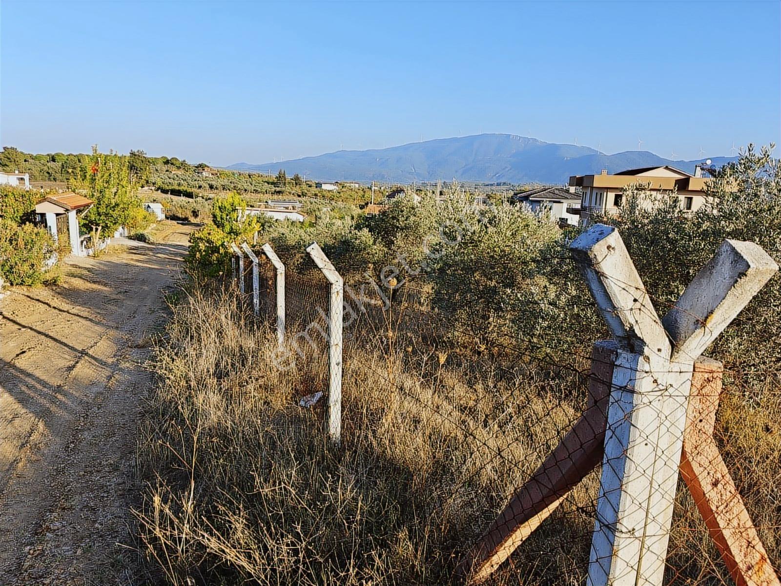 Kuşadası Yeniköy De Köşe Konumlu Arsa - Görsel 14