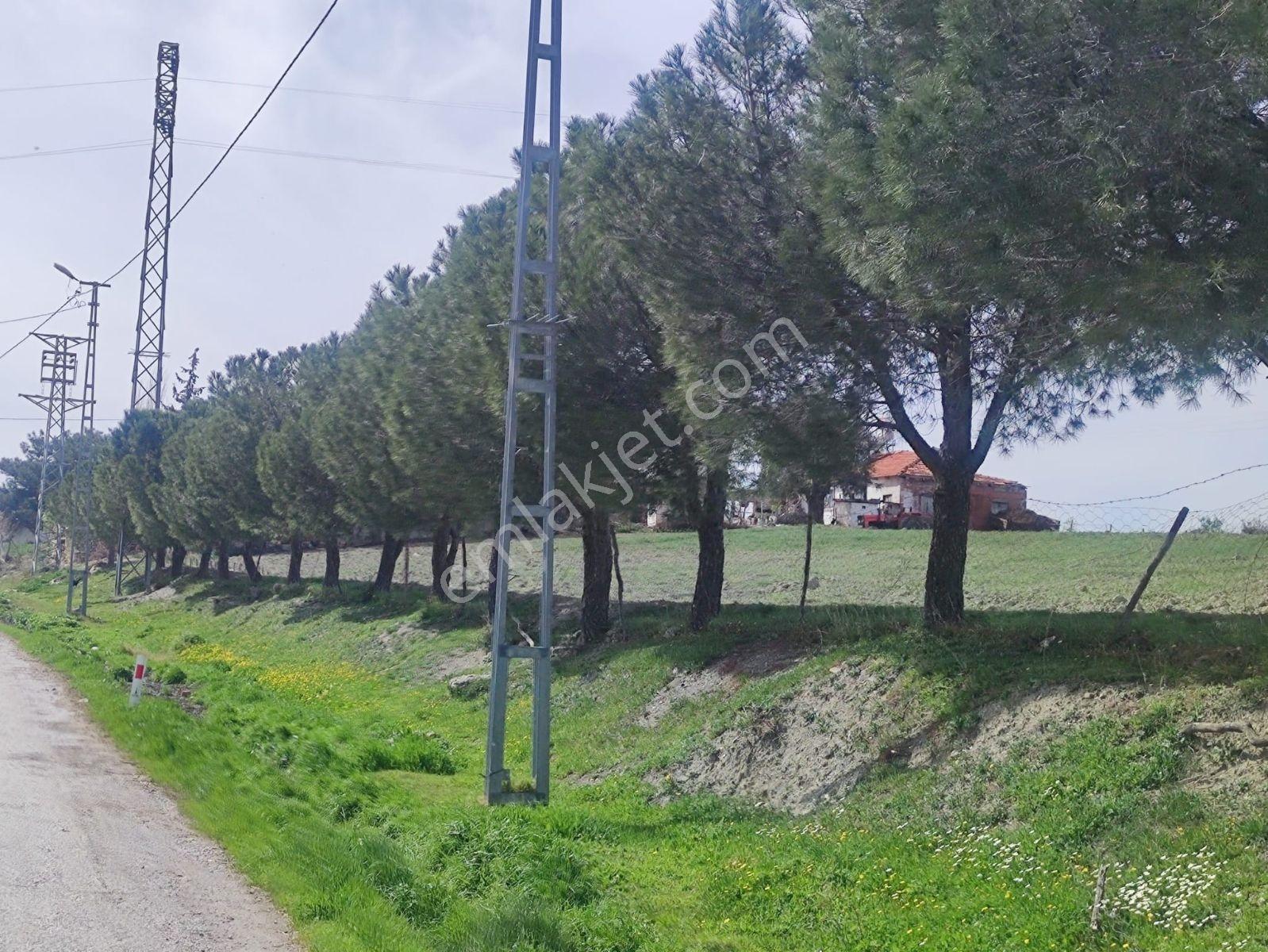 İzmir Çiftlikköy'de Doğa Manzaralı 707 M2 İmarlı Arsa - Görsel 6