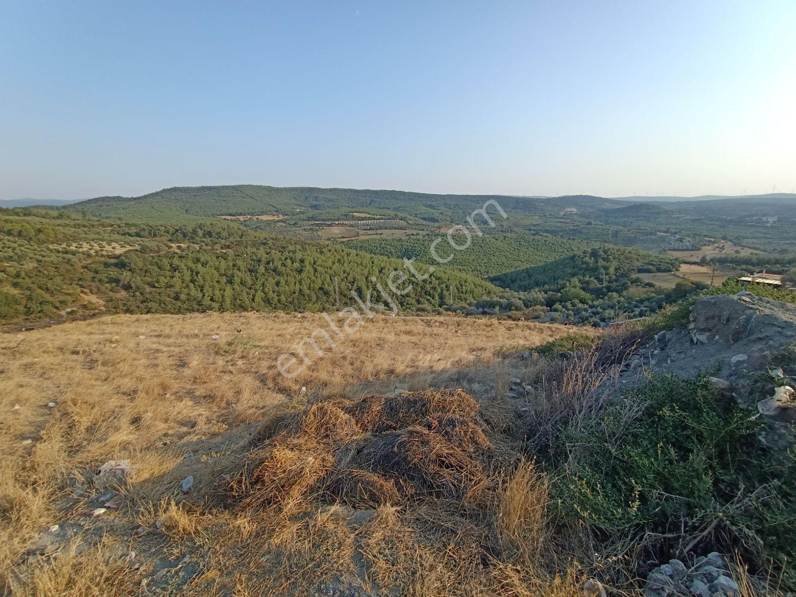 İzmir Çiftlikköy'de Doğa Manzaralı 707 M2 İmarlı Arsa - Görsel 10