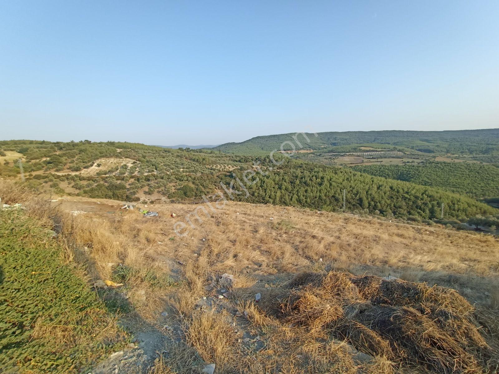 İzmir Çiftlikköy'de Doğa Manzaralı 707 M2 İmarlı Arsa - Görsel 7