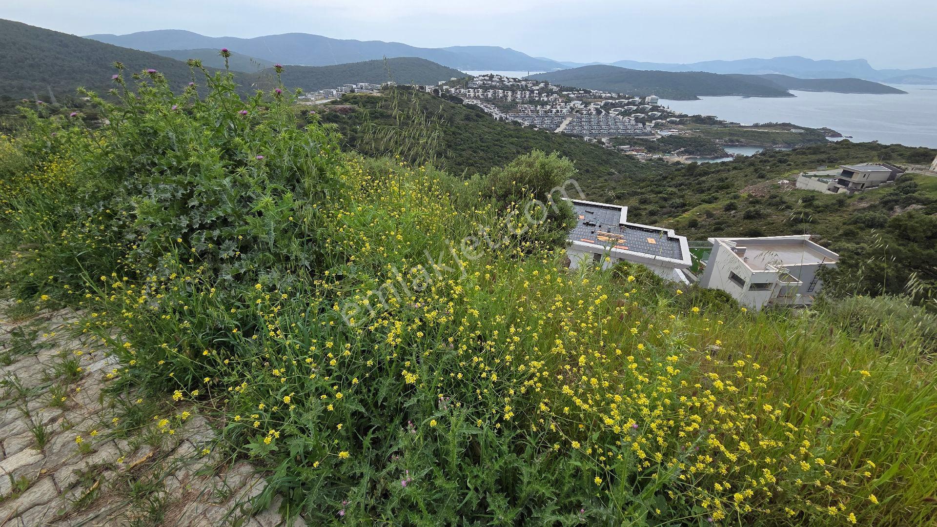 Muğla Bodrum Satılık Deniz Manzaralı Arsa - Görsel 7