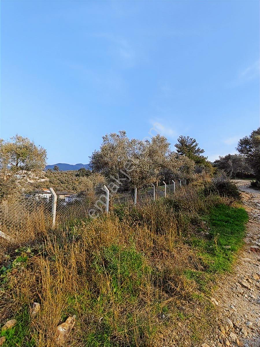 Kuşadası Davutlar Merkezde Yol Cepheli 445 M2 Arsa - Görsel 9