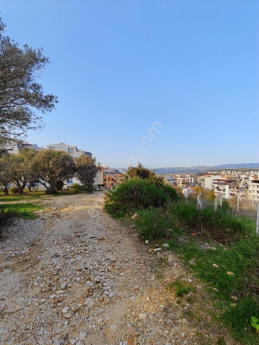 Kuşadası Davutlar Merkezde Yol Cepheli 445 M2 Arsa - Görsel 15