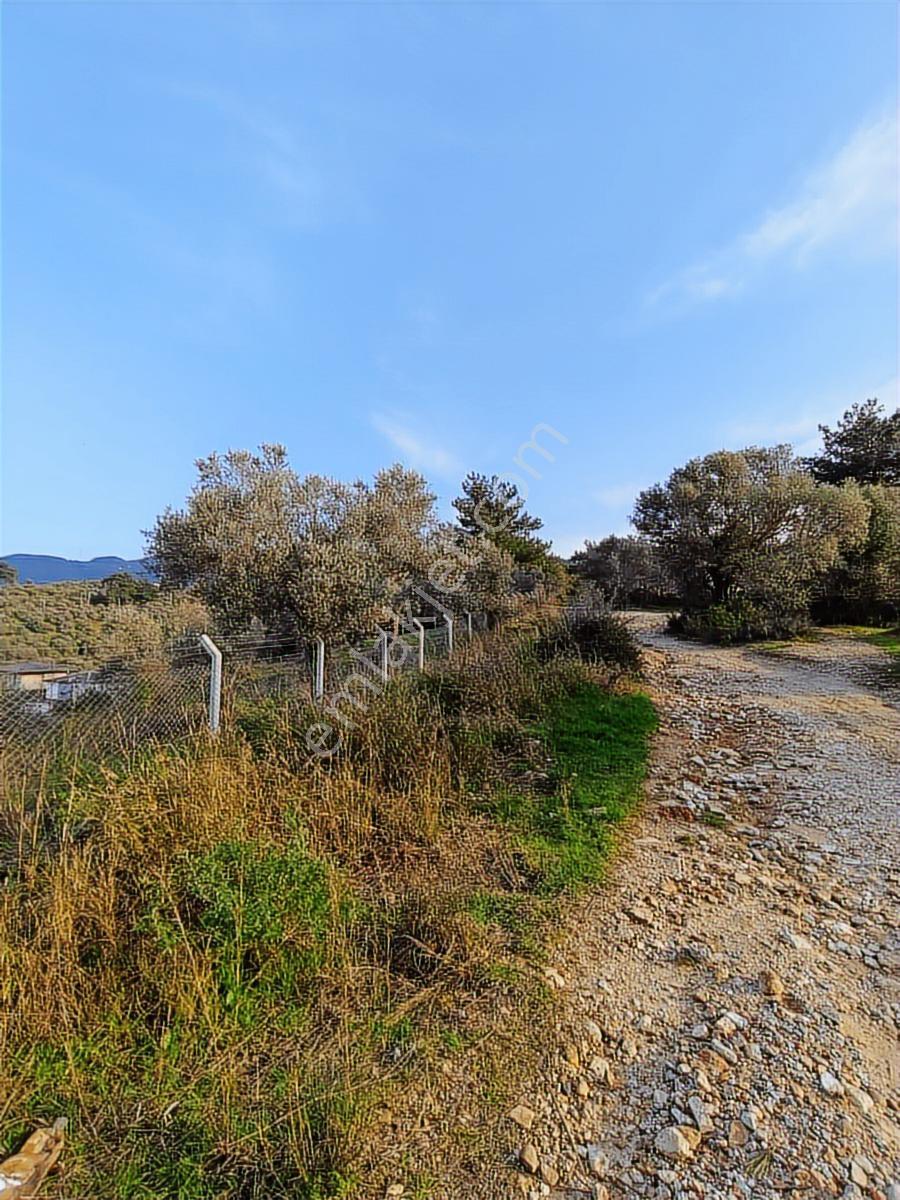 Kuşadası Davutlar Merkezde Yol Cepheli 445 M2 Arsa - Görsel 12