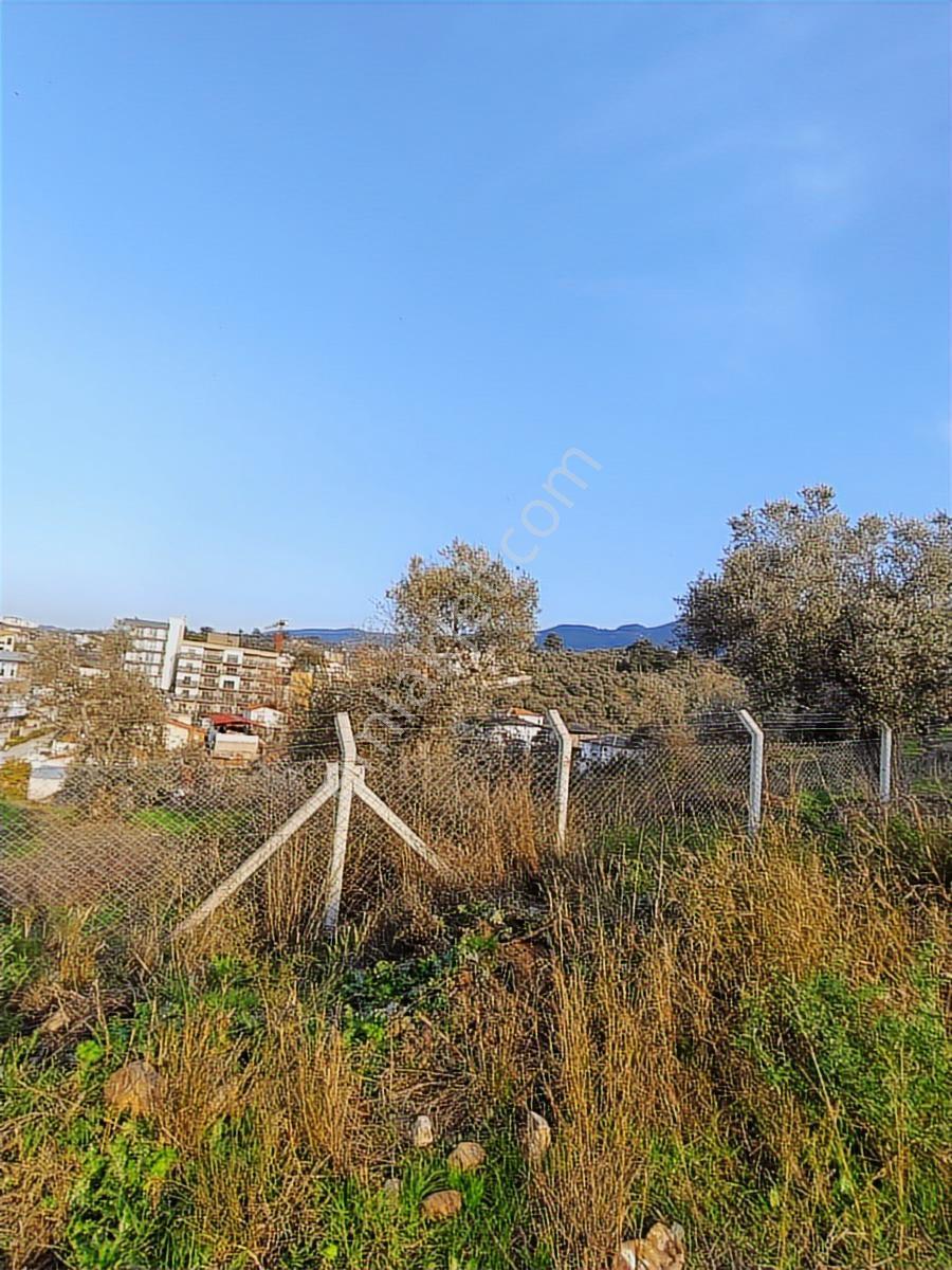 Kuşadası Davutlar Merkezde Yol Cepheli 445 M2 Arsa - Görsel 7