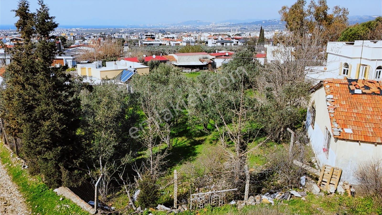Davutlar Merkezde Deniz Manzaralı Doğa İçinde 883 M2 Arsa - Görsel 8
