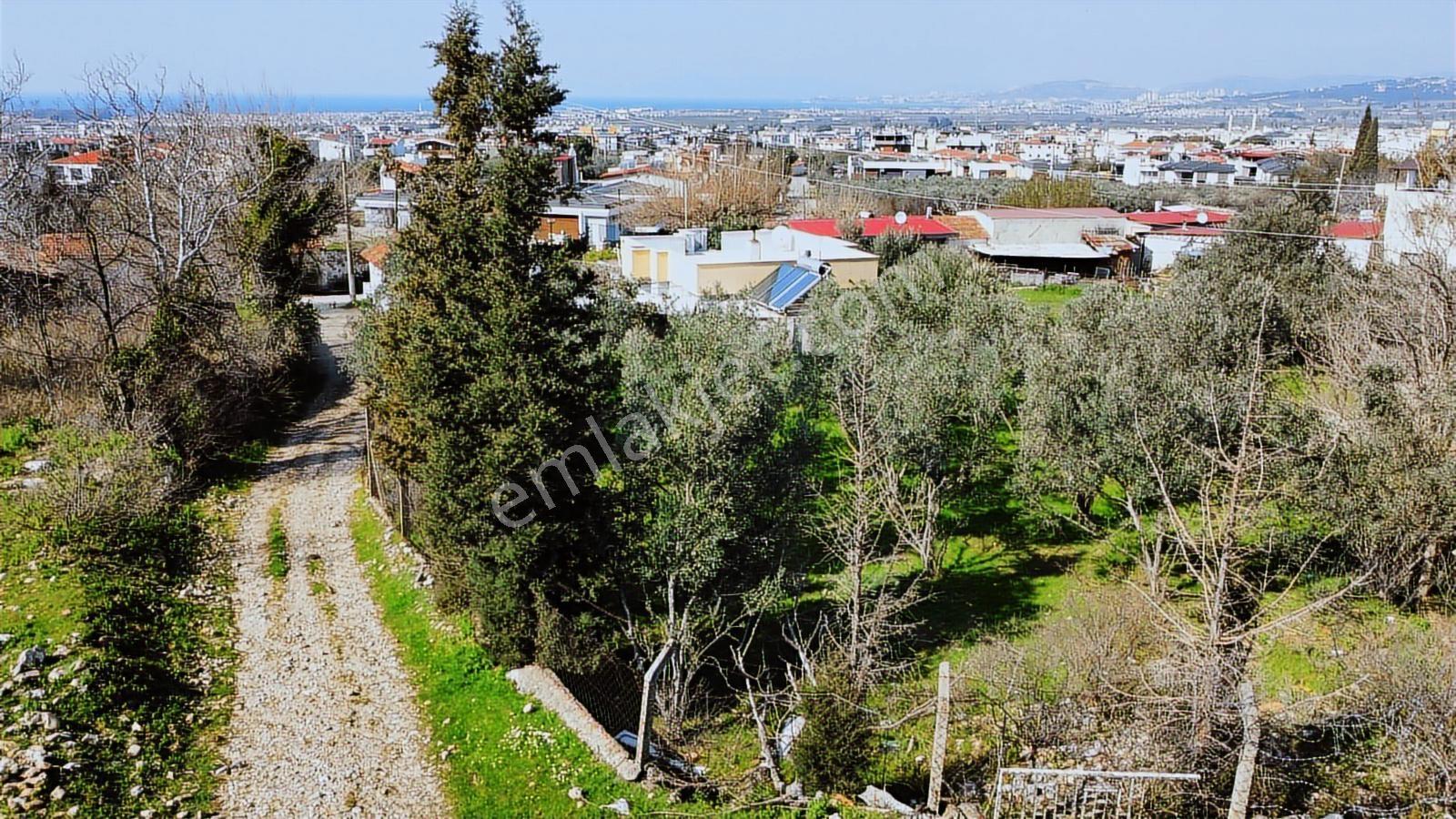 Davutlar Merkezde Deniz Manzaralı Doğa İçinde 883 M2 Arsa - Görsel 4
