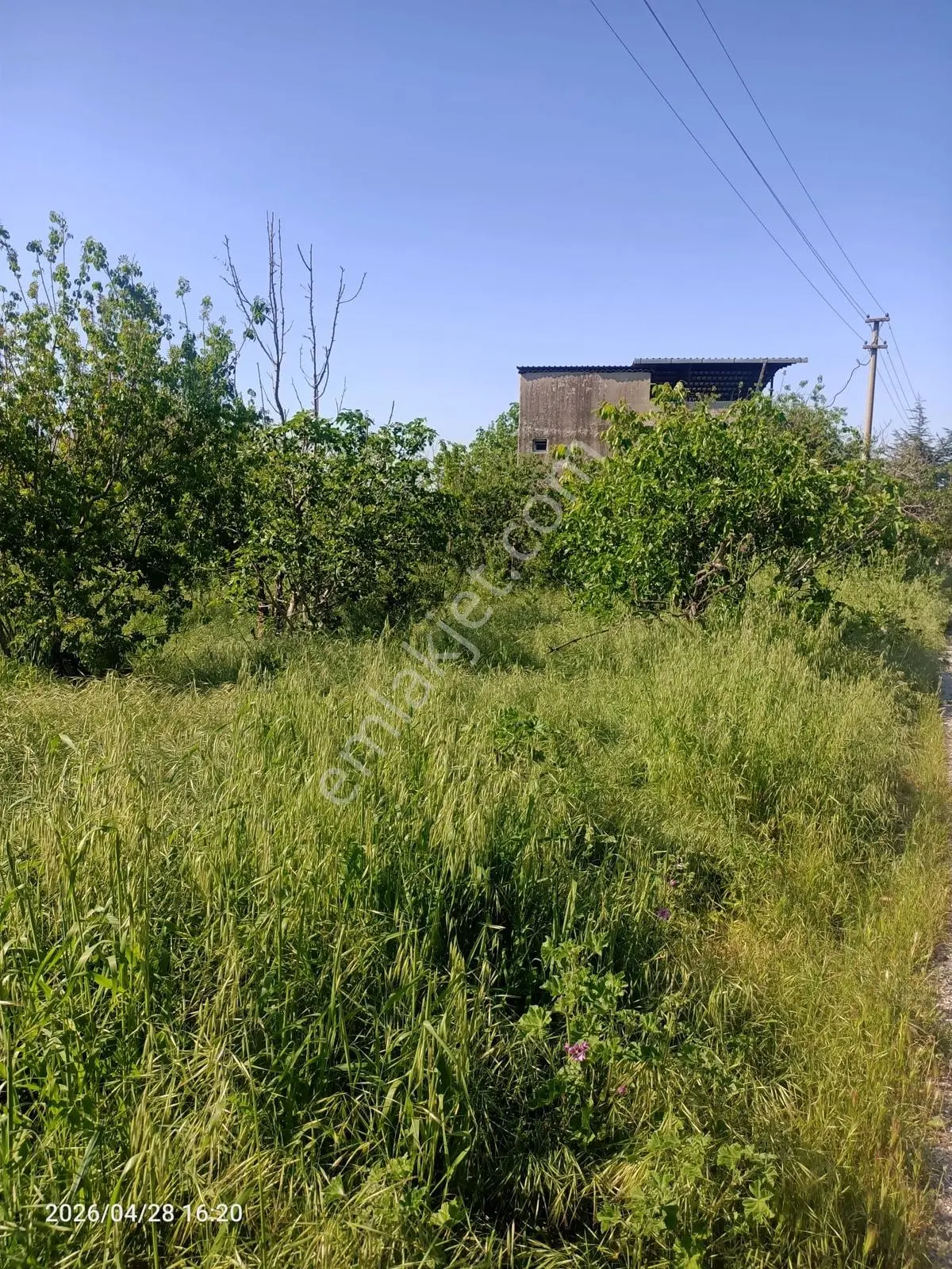 Kemalpaşa'da| 4.000 M² Arazi İçinde 2 Katlı Çiftlik Evi - Görsel 2