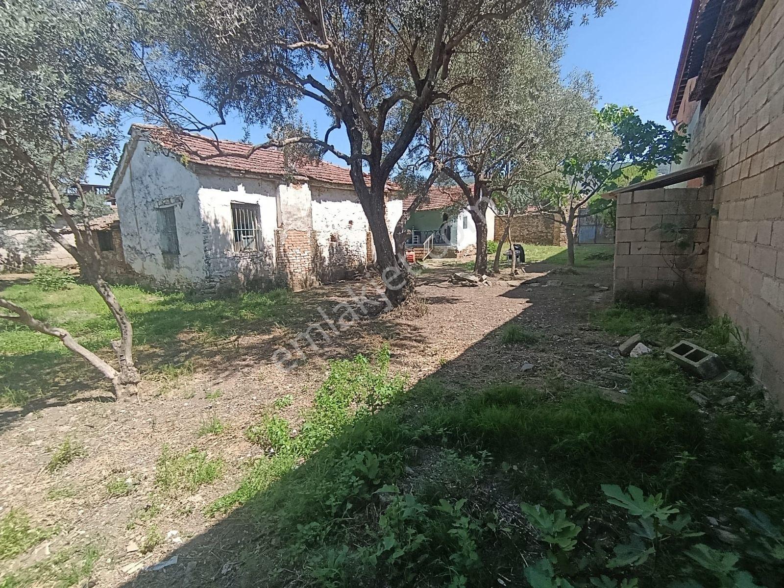 Nazilli Yazırlı Mahallesinde Satılık Kargir Ev Ve Avlusu - Görsel 11