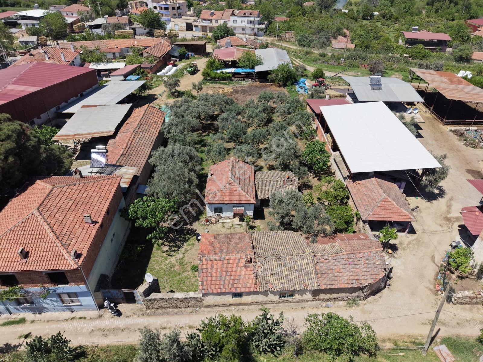 Nazilli Yazırlı Mahallesinde Satılık Kargir Ev Ve Avlusu - Görsel 17