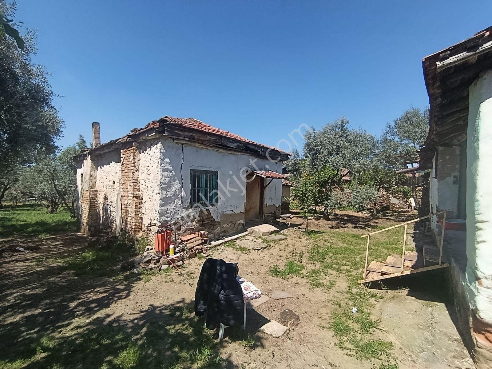 Nazilli Yazırlı Mahallesinde Satılık Kargir Ev Ve Avlusu - Görsel 16