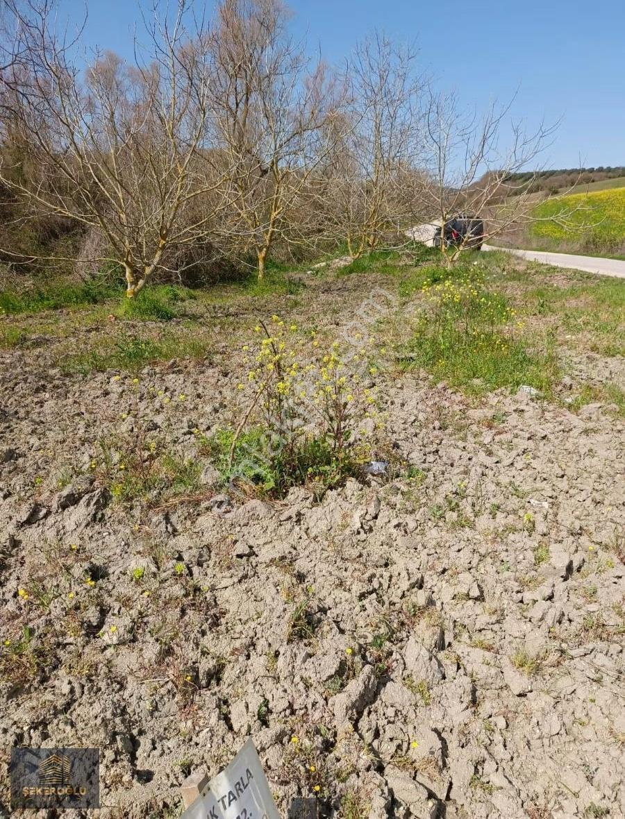 Şekeroğlu Emlak'tan Bursa Mudanya Esence Köyünde Yola Cephe Arsa - Görsel 5
