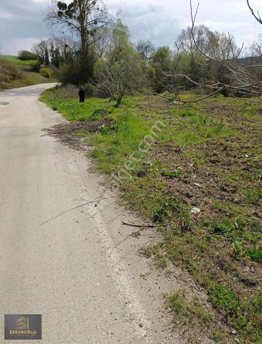 Şekeroğlu Emlak'tan Bursa Mudanya Esence Köyünde Yola Cephe Arsa - Görsel 3