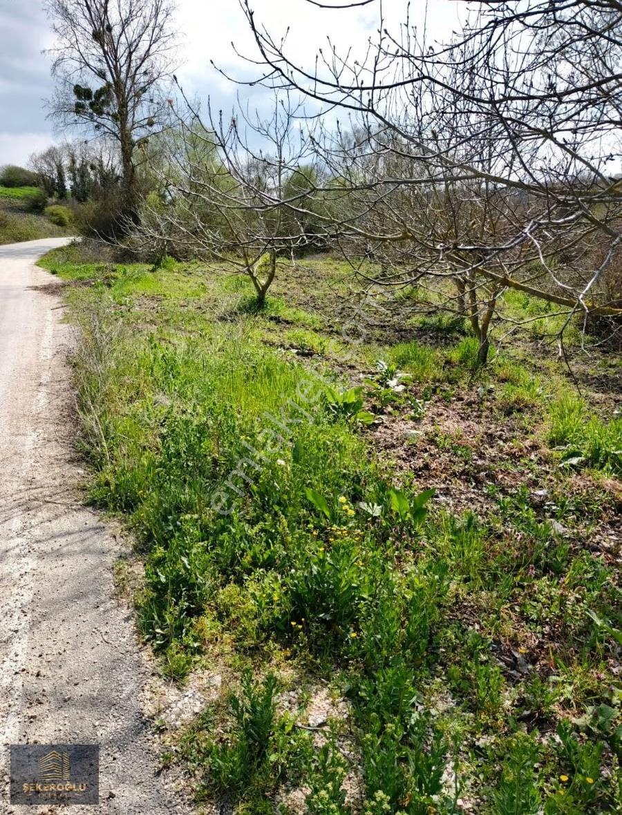 Şekeroğlu Emlak'tan Bursa Mudanya Esence Köyünde Yola Cephe Arsa - Görsel 7