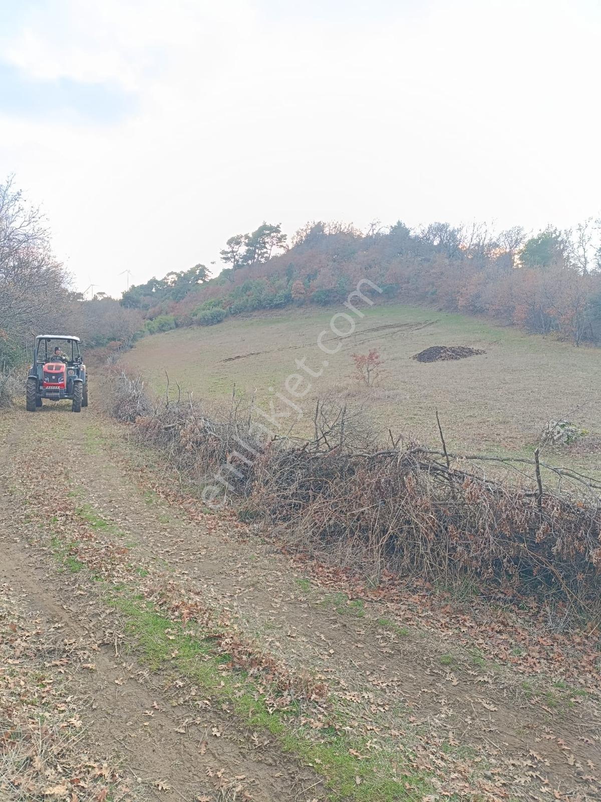 Lapspeki Kızıldam'da 2701 M2lik Yola Cephe Satılık Tarla - Görsel 3