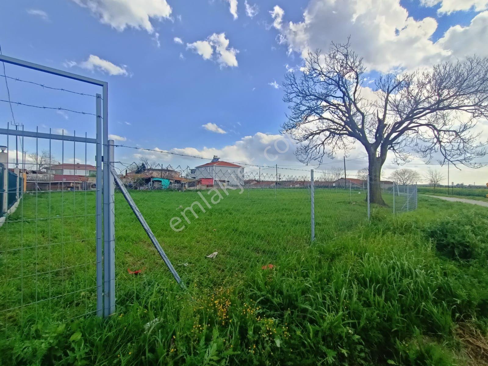 Aşağısevindikli'de Köy Merkezinde Satılık 565 M2 İmarlı Arsa - Görsel 12